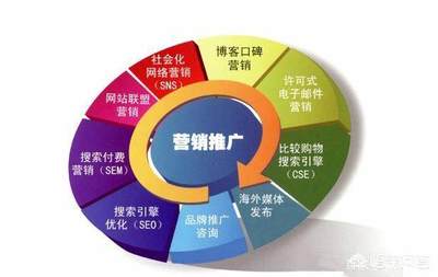 如何進入互聯(lián)網(wǎng)行業(yè) 聚焦技術開發(fā)與銷售雙路徑